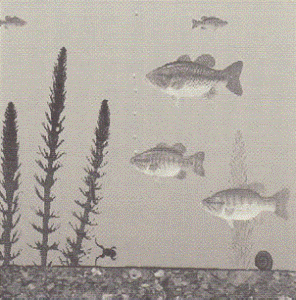 http://fry.no.coocan.jp/WordPress/wp-content/uploads/2011/06/sak-296x300.png