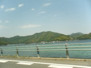http://fry.no.coocan.jp/WordPress/wp-content/uploads/2011/06/sae-300x225.jpg