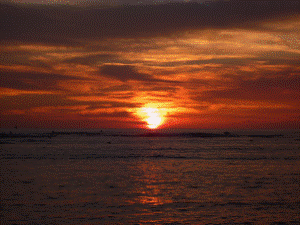 http://fry.no.coocan.jp/WordPress/wp-content/uploads/2011/06/yu2-300x225.png