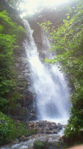 http://fry.no.coocan.jp/WordPress/wp-content/uploads/2011/08/o3-168x300.png