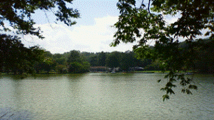http://fry.no.coocan.jp/WordPress/wp-content/uploads/2011/09/k2-300x168.png