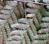 http://fry.no.coocan.jp/WordPress/wp-content/uploads/2011/09/sida1.png