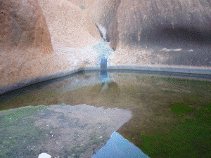 http://fry.no.coocan.jp/WordPress/wp-content/uploads/2011/10/k41-300x225.png