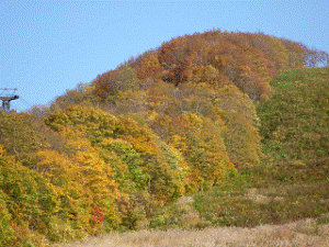 http://fry.no.coocan.jp/WordPress/wp-content/uploads/2011/12/o3-300x225.png