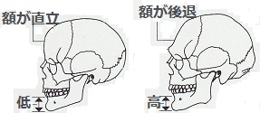 http://fry.no.coocan.jp/WordPress/wp-content/uploads/2011/12/z.jpg