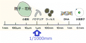 http://fry.no.coocan.jp/WordPress/wp-content/uploads/2012/01/nano-300x151.png