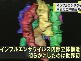http://fry.no.coocan.jp/WordPress/wp-content/uploads/2012/01/nano.jpg