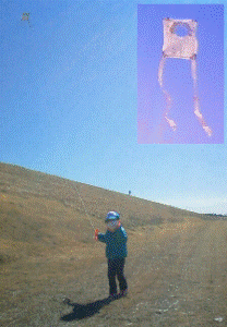 http://fry.no.coocan.jp/WordPress/wp-content/uploads/2012/02/s1-208x300.png