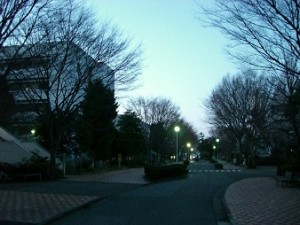 http://fry.no.coocan.jp/WordPress/wp-content/uploads/2012/03/cimg1288-300x225.jpg