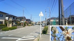 http://fry.no.coocan.jp/WordPress/wp-content/uploads/2012/04/mae2-300x168.jpg