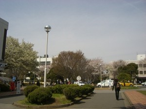 http://fry.no.coocan.jp/WordPress/wp-content/uploads/2012/04/sa1-300x224.jpg